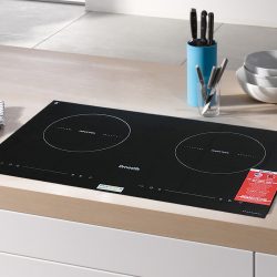 Bếp từ Dmestik ML921 DKI