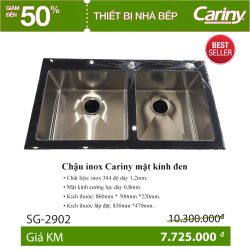 Chậu Cariny mặt kính đen SG-2902