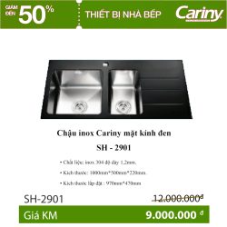 Chậu inox Cariny mặt kính đen